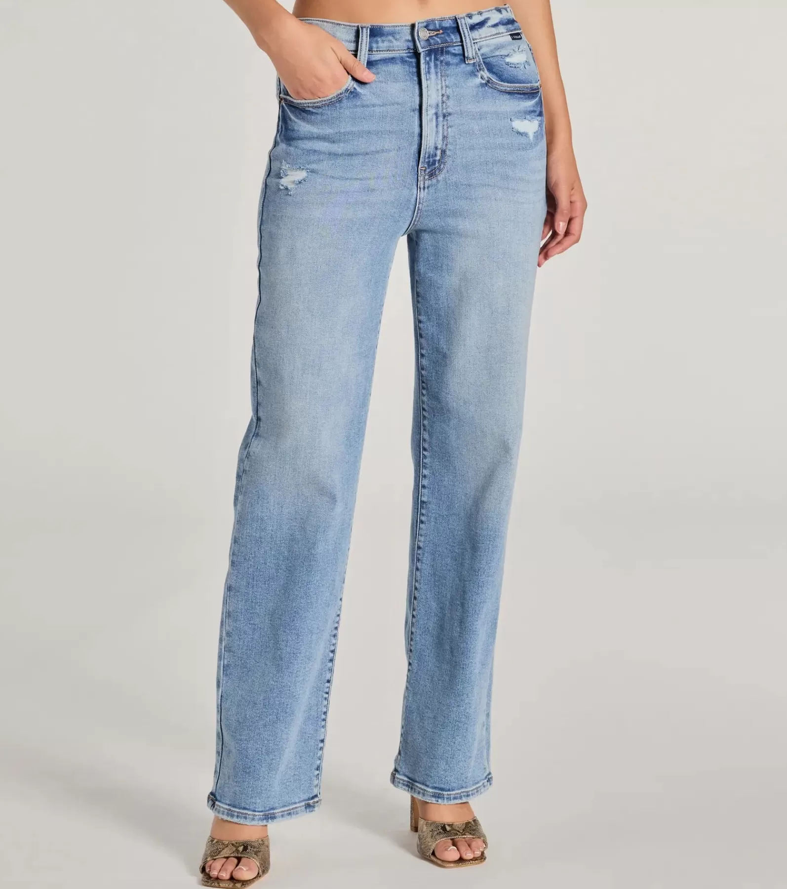 Windsor Pants | Jeans*Basic Vibes High-Rise Straight-Leg Denim Jeans